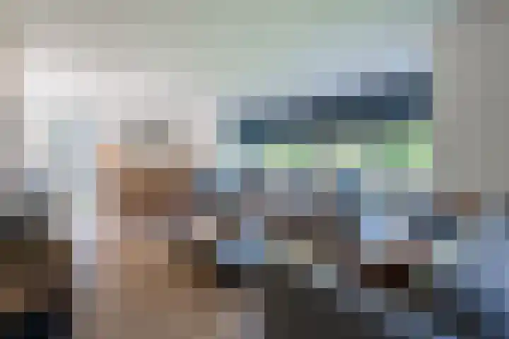 Merellaan 22 Nieuwleusen thumbnail 11