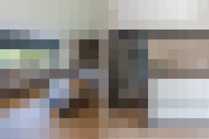 Merellaan 22 Nieuwleusen thumbnail 12