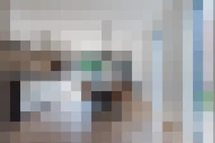 Merellaan 22 Nieuwleusen thumbnail 13
