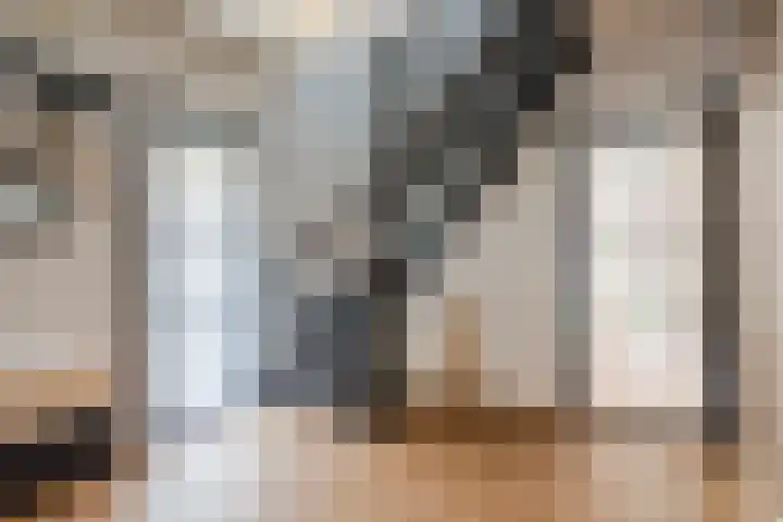 Merellaan 22 Nieuwleusen thumbnail 18