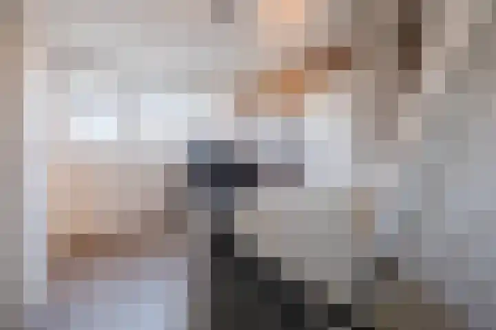 Merellaan 22 Nieuwleusen thumbnail 20