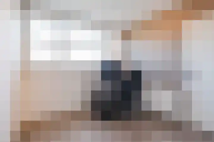 Merellaan 22 Nieuwleusen thumbnail 21