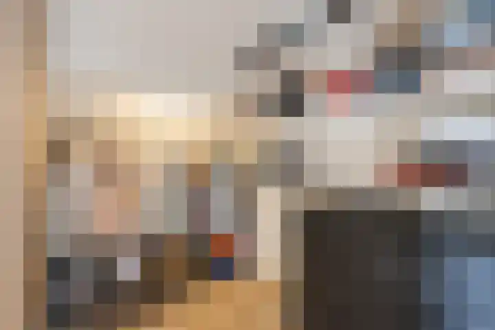 Merellaan 22 Nieuwleusen thumbnail 25