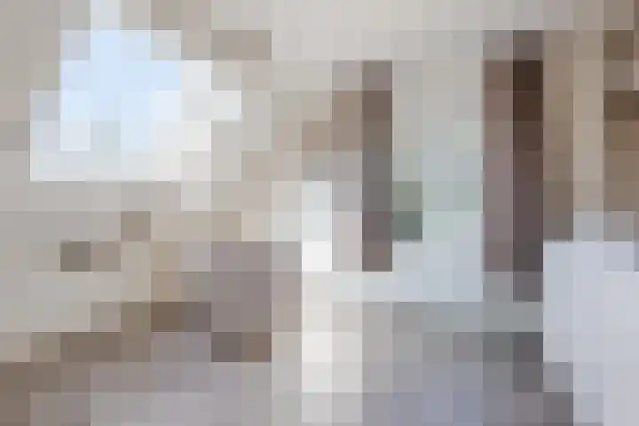 Merellaan 22 Nieuwleusen thumbnail 31