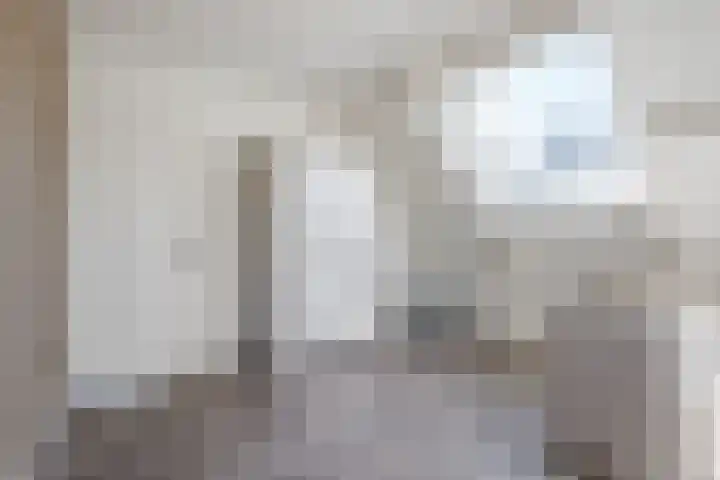 Merellaan 22 Nieuwleusen thumbnail 32