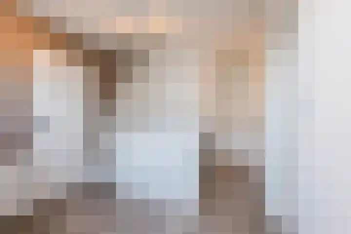 Merellaan 22 Nieuwleusen thumbnail 33