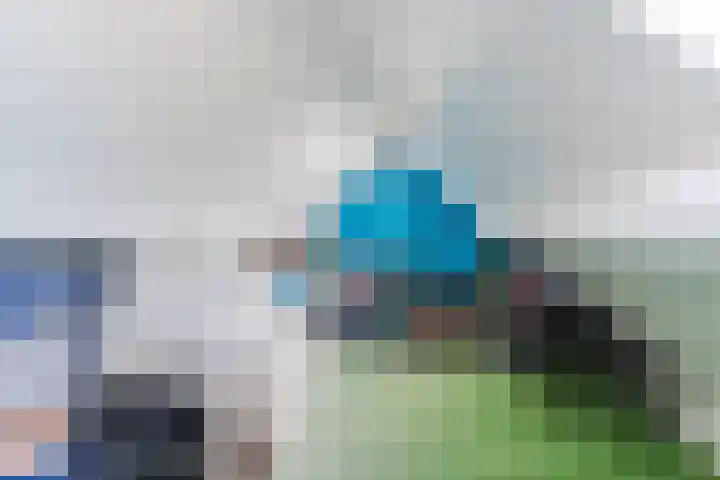 Merellaan 22 Nieuwleusen thumbnail 36