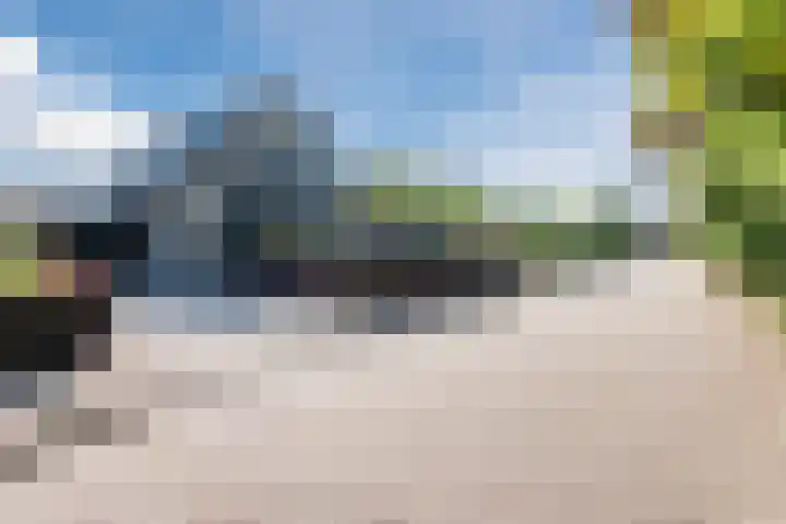 Merellaan 22 Nieuwleusen thumbnail 4