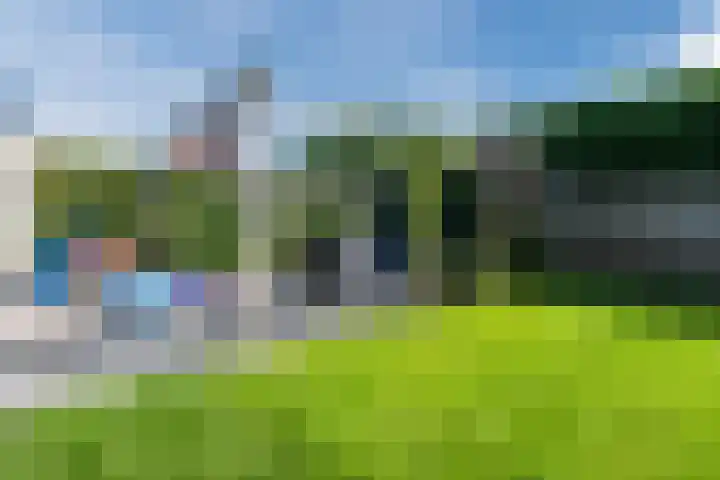 Merellaan 22 Nieuwleusen thumbnail 44