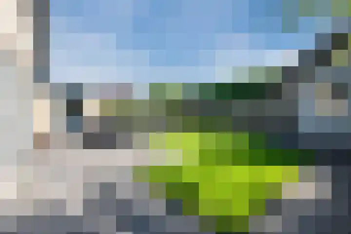 Merellaan 22 Nieuwleusen thumbnail 46