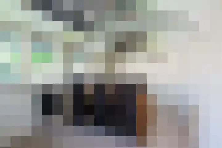 Merellaan 22 Nieuwleusen thumbnail 49