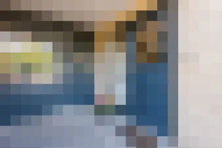 Merellaan 22 Nieuwleusen thumbnail 5