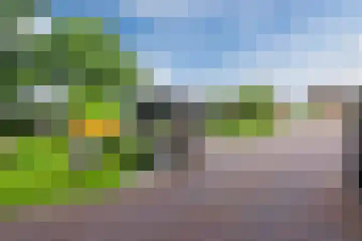 Merellaan 22 Nieuwleusen thumbnail 57