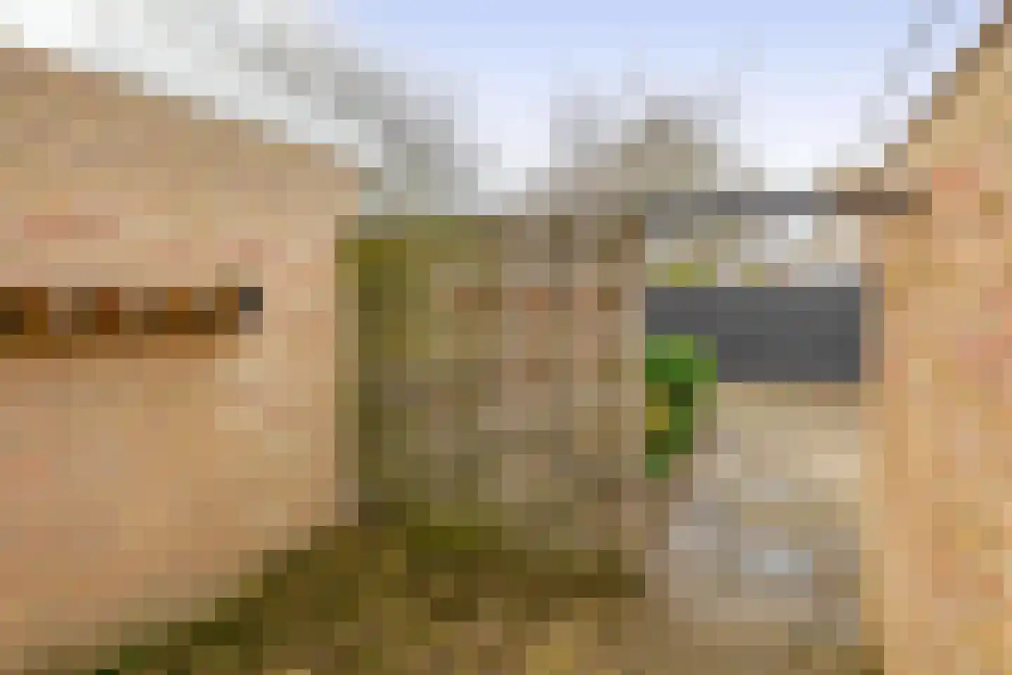 Merellaan 232 Capelle aan den IJssel thumbnail 6