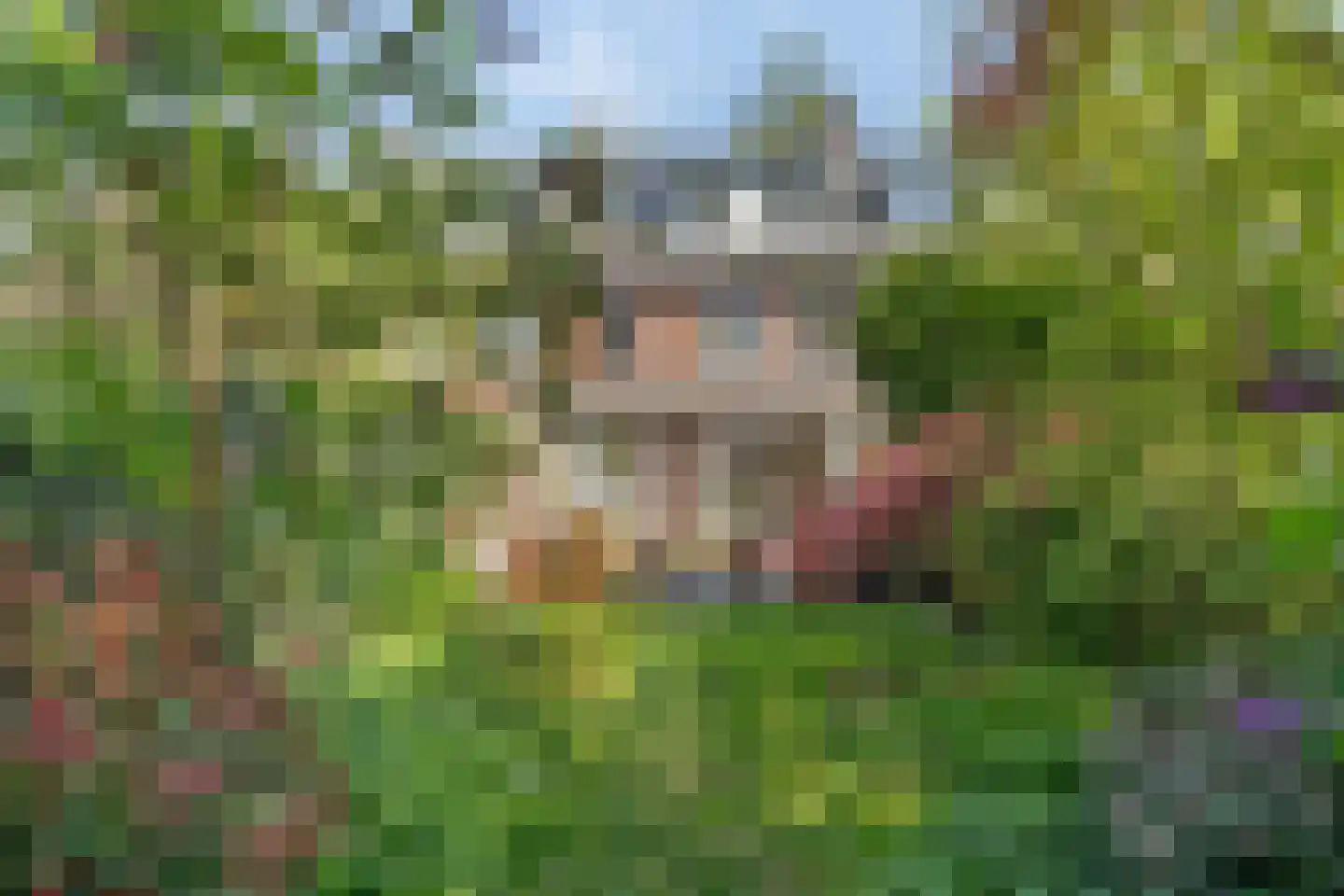 Merellaan 24 Bilthoven thumbnail 42