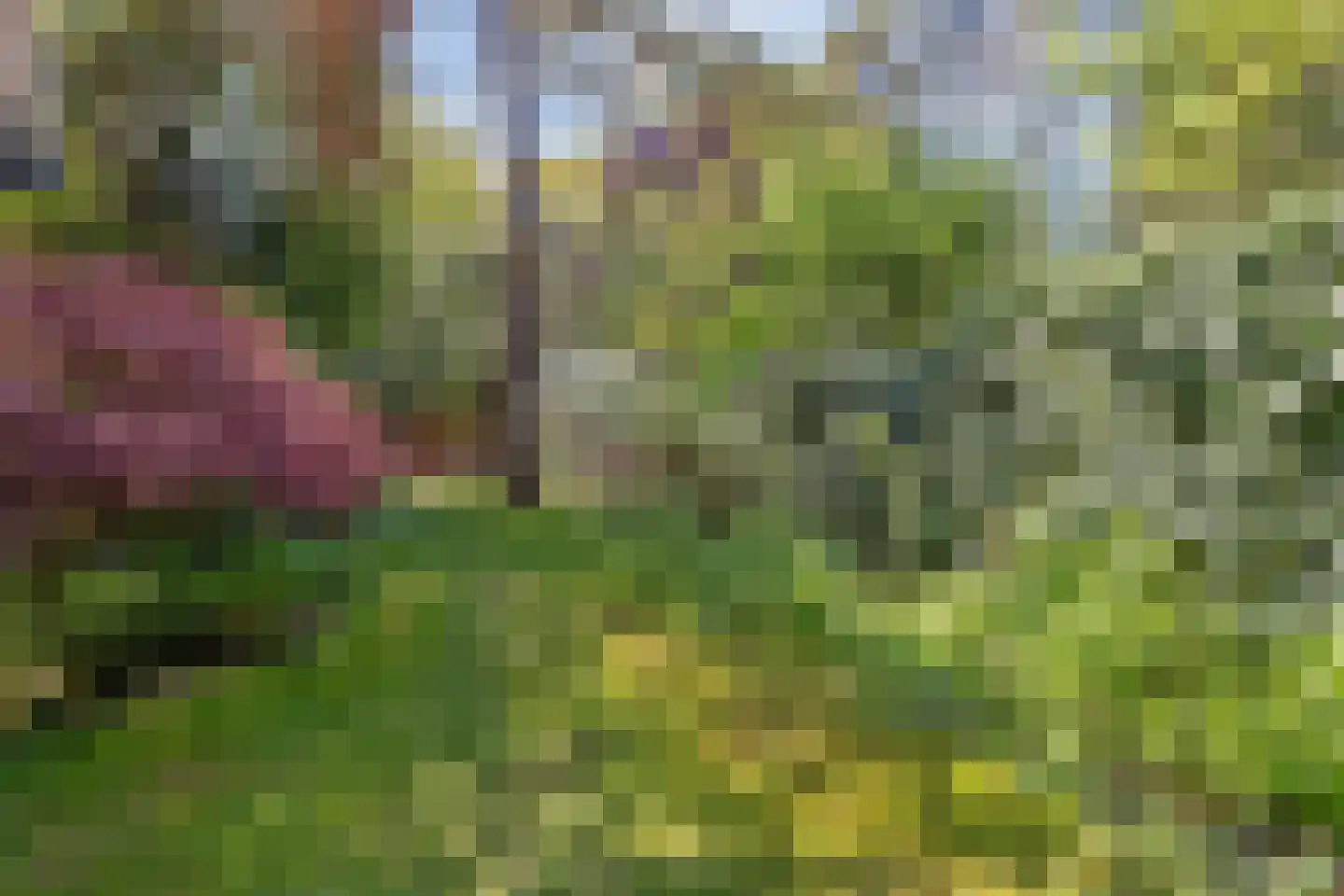 Merellaan 24 Bilthoven thumbnail 45