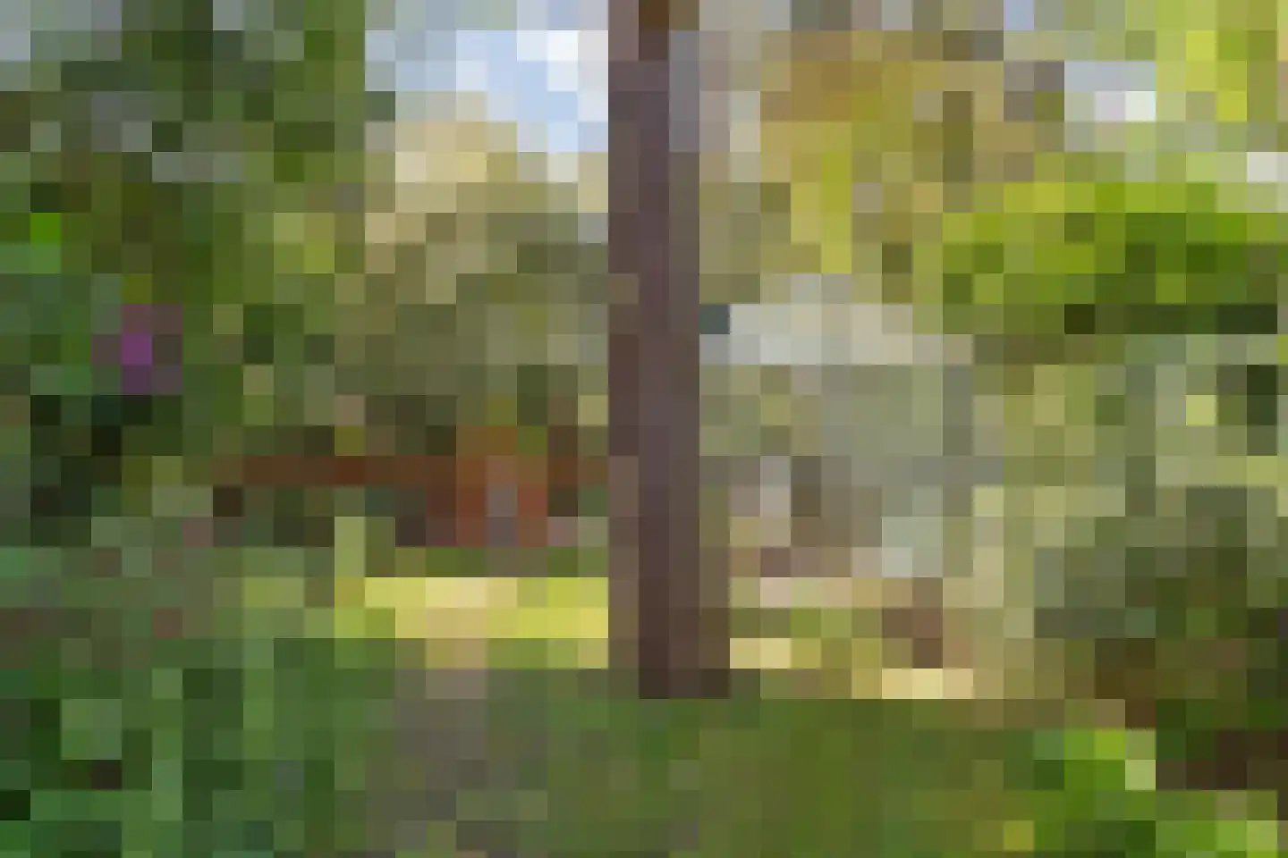 Merellaan 24 Bilthoven thumbnail 46
