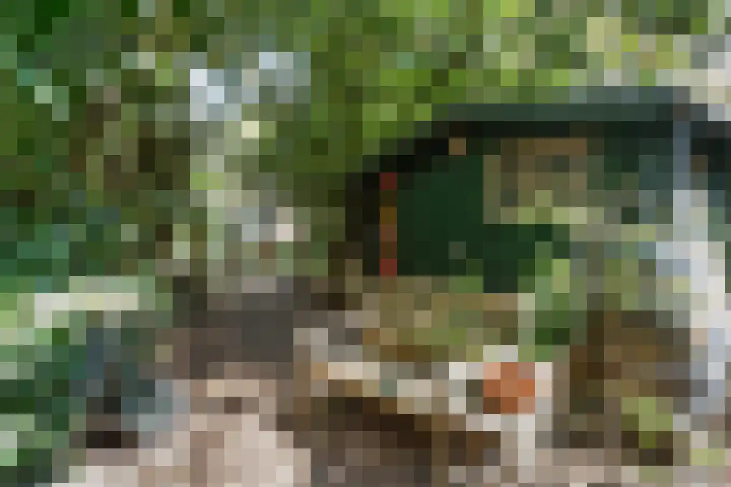 Merellaan 24 Bilthoven thumbnail 48