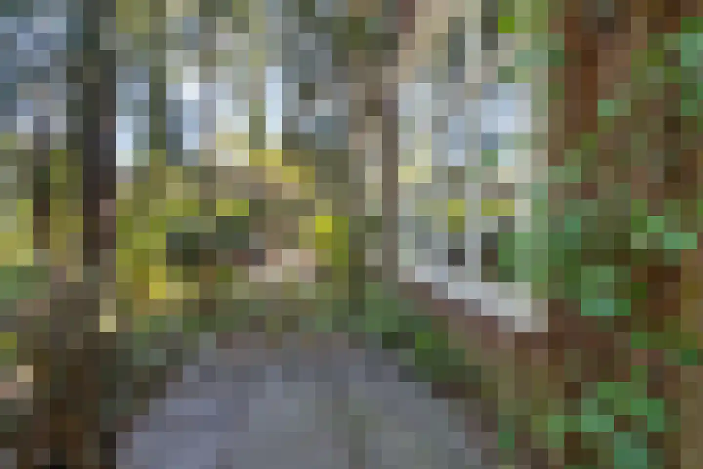 Merellaan 24 Bilthoven thumbnail 49