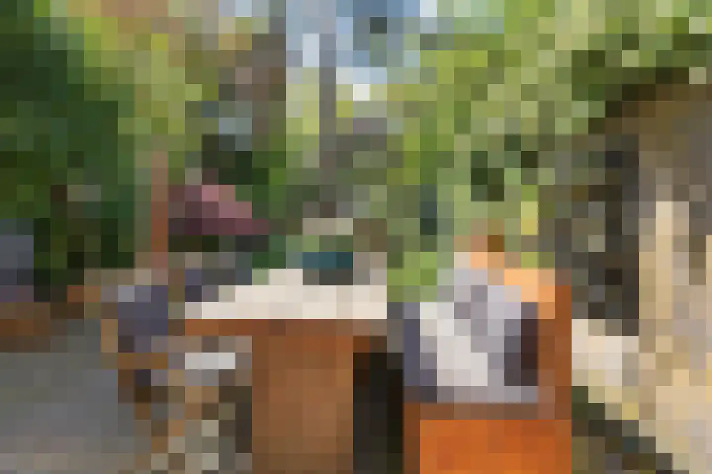 Merellaan 24 Bilthoven thumbnail 50