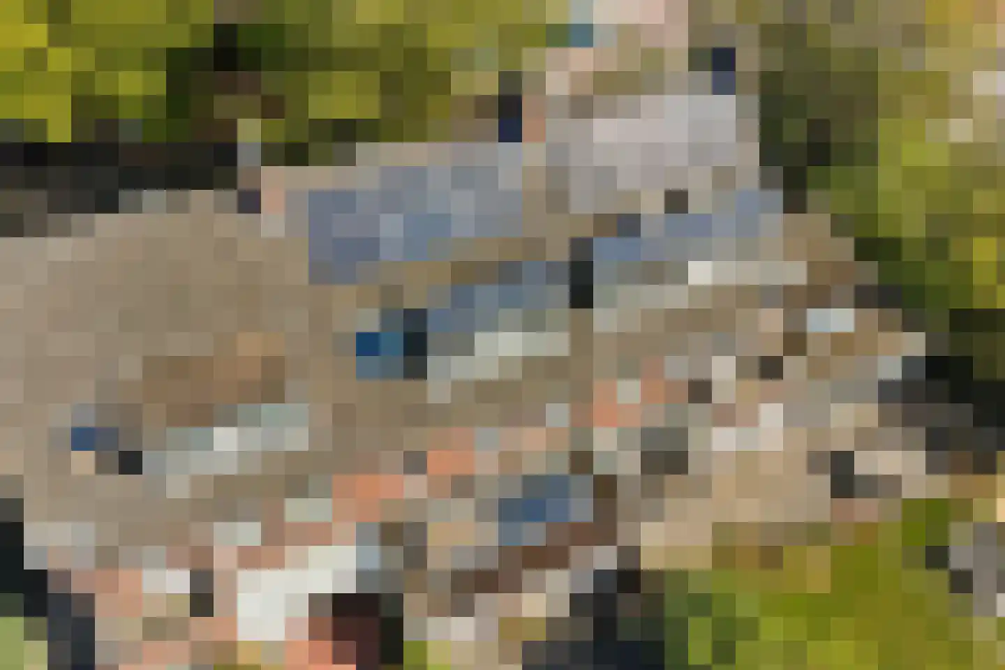 Merellaan 24 Bilthoven thumbnail 54