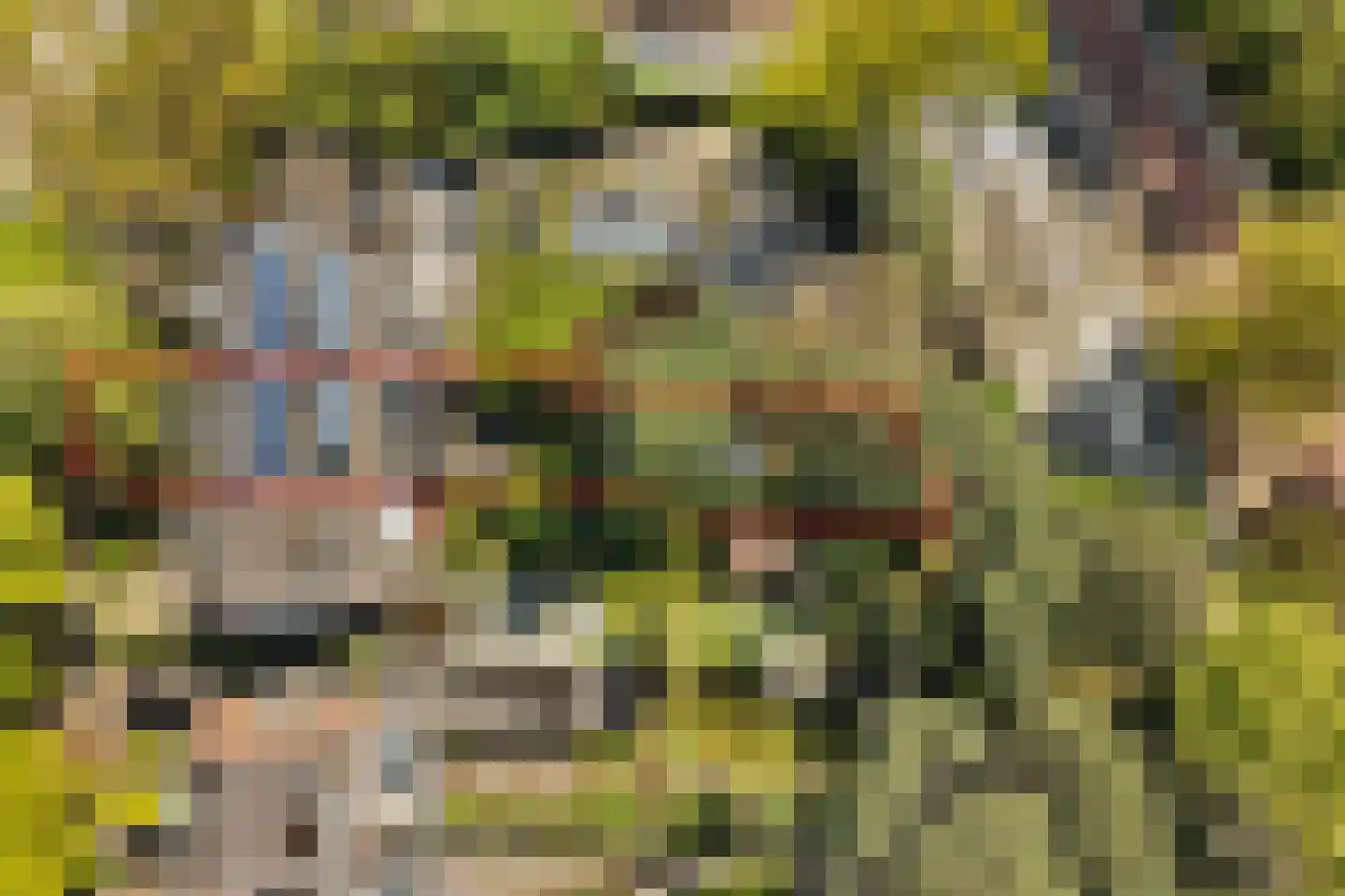 Merellaan 24 Bilthoven thumbnail 55
