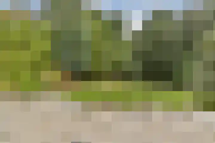 Merellaan 24 Sassenheim thumbnail 16
