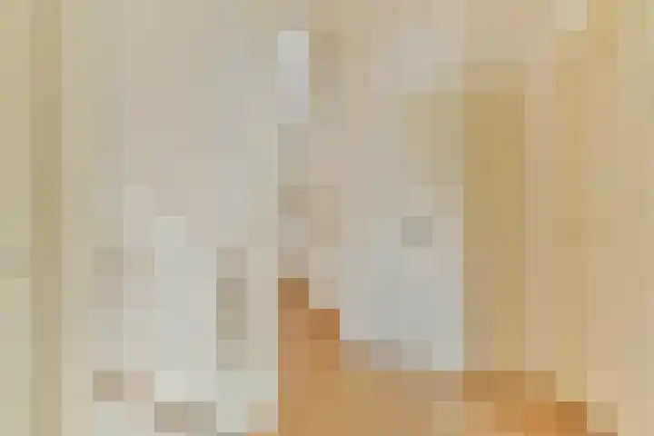 Merellaan 24 Sassenheim thumbnail 18