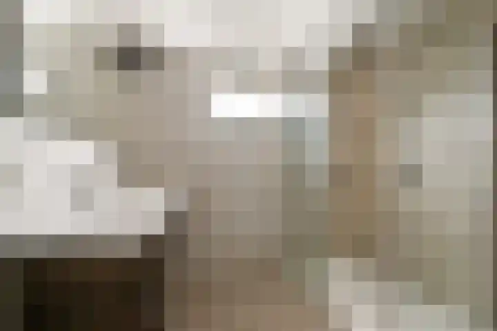 Merellaan 24 Sassenheim thumbnail 22