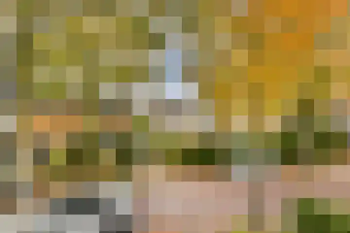 Merellaan 24 Sassenheim thumbnail 27