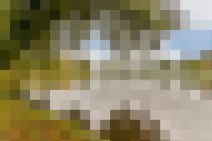 Merellaan 24 Sassenheim thumbnail 34