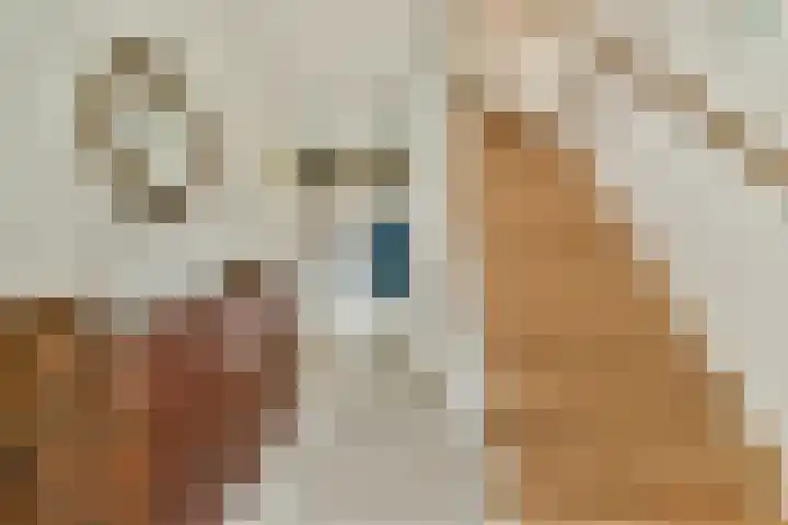 Merellaan 24 Sassenheim thumbnail 4