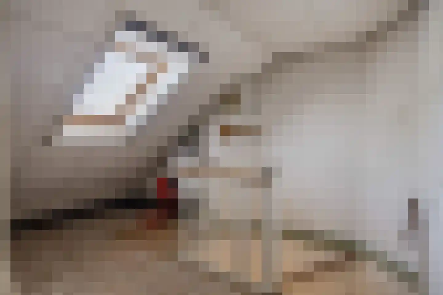 Merellaan 240 Capelle aan den IJssel thumbnail 32