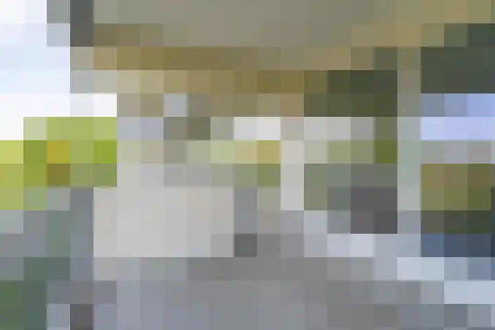 Merellaan 245 Maassluis thumbnail 6