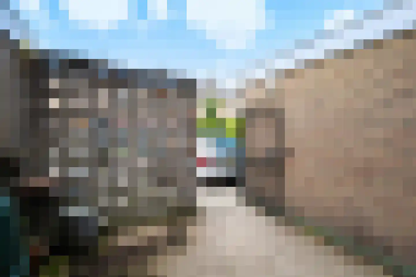 Merellaan 25 Capelle aan den IJssel thumbnail 32