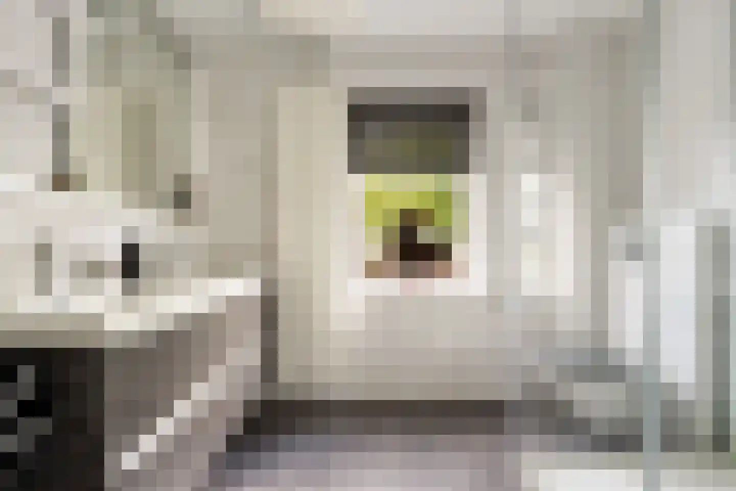 Merellaan 258 Capelle aan den IJssel thumbnail 35