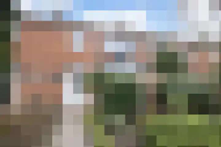 Merellaan 28 Ede thumbnail 37