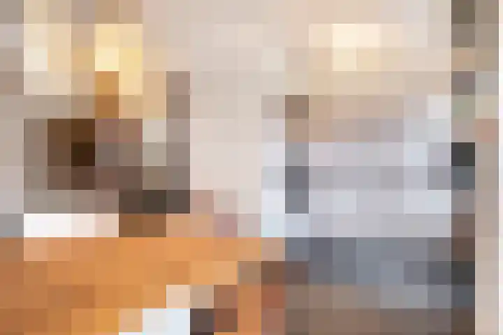 Merellaan 28 Ede thumbnail 8