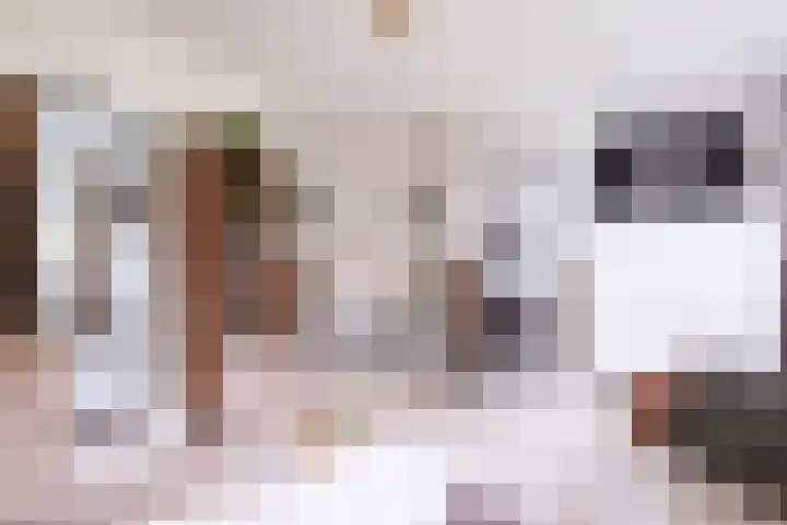 Merellaan 3 Nieuwe Pekela thumbnail 13