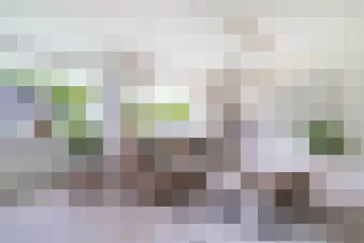 Merellaan 3 Nieuwe Pekela thumbnail 15