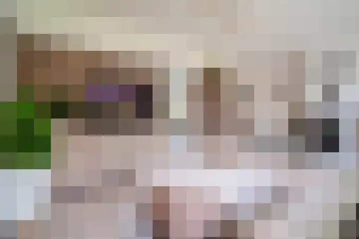 Merellaan 3 Nieuwe Pekela thumbnail 17