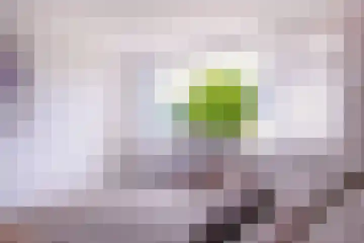 Merellaan 3 Nieuwe Pekela thumbnail 27