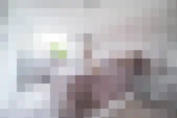 Merellaan 3 Nieuwe Pekela thumbnail 28