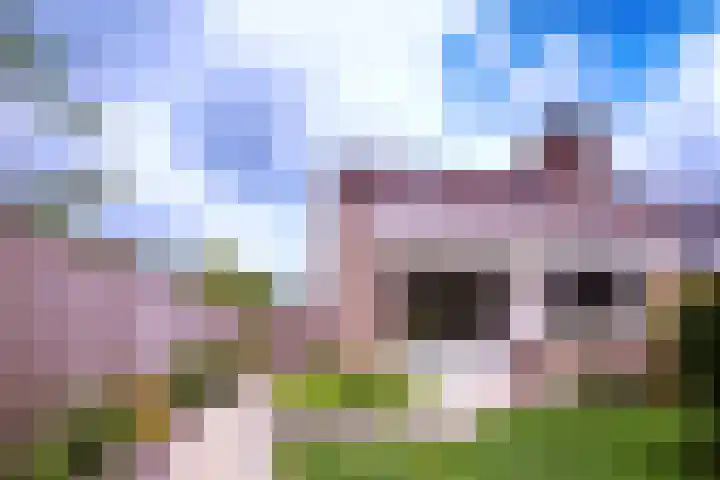 Merellaan 3 Nieuwe Pekela thumbnail 4