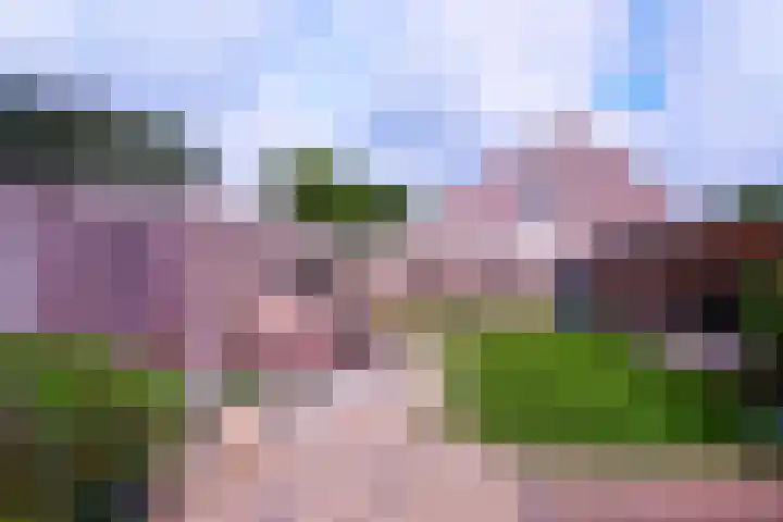 Merellaan 3 Nieuwe Pekela thumbnail 41