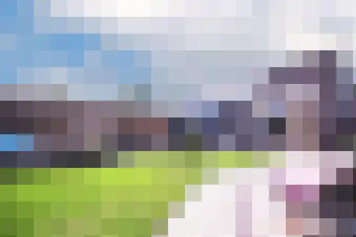Merellaan 3 Nieuwe Pekela thumbnail 44