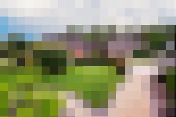 Merellaan 3 Nieuwe Pekela thumbnail 45