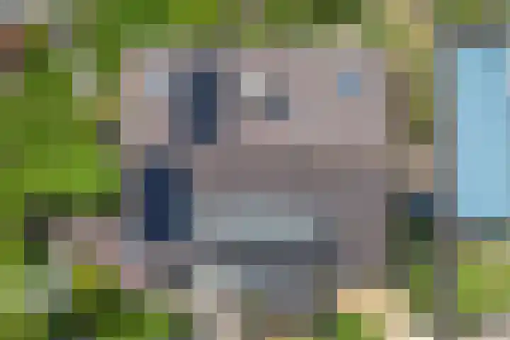 Merellaan 3 Nieuwe Pekela thumbnail 47