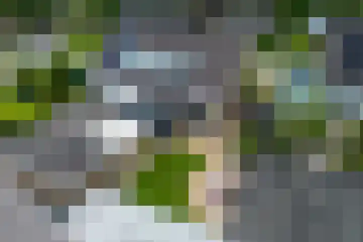 Merellaan 3 Nieuwe Pekela thumbnail 48