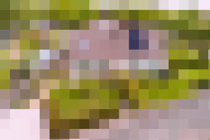 Merellaan 3 Nieuwe Pekela thumbnail 5